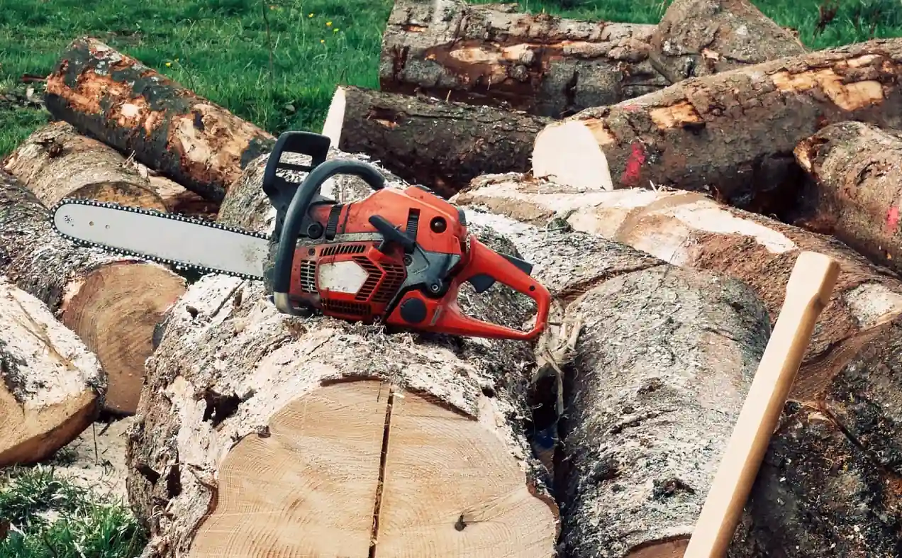 Chainsaw