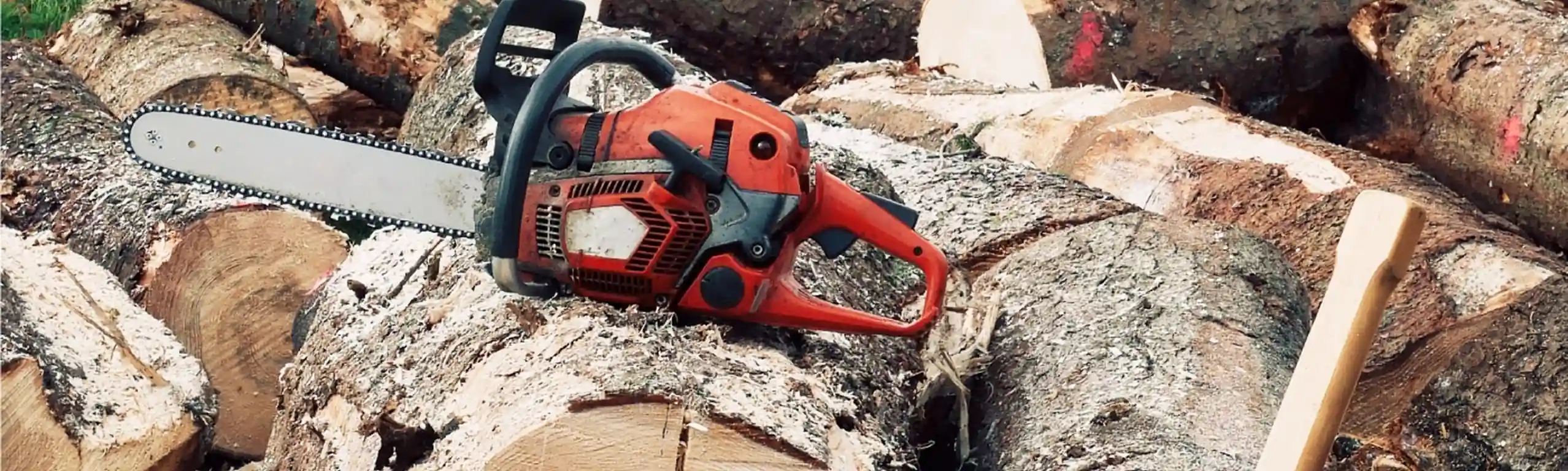 Chainsaw