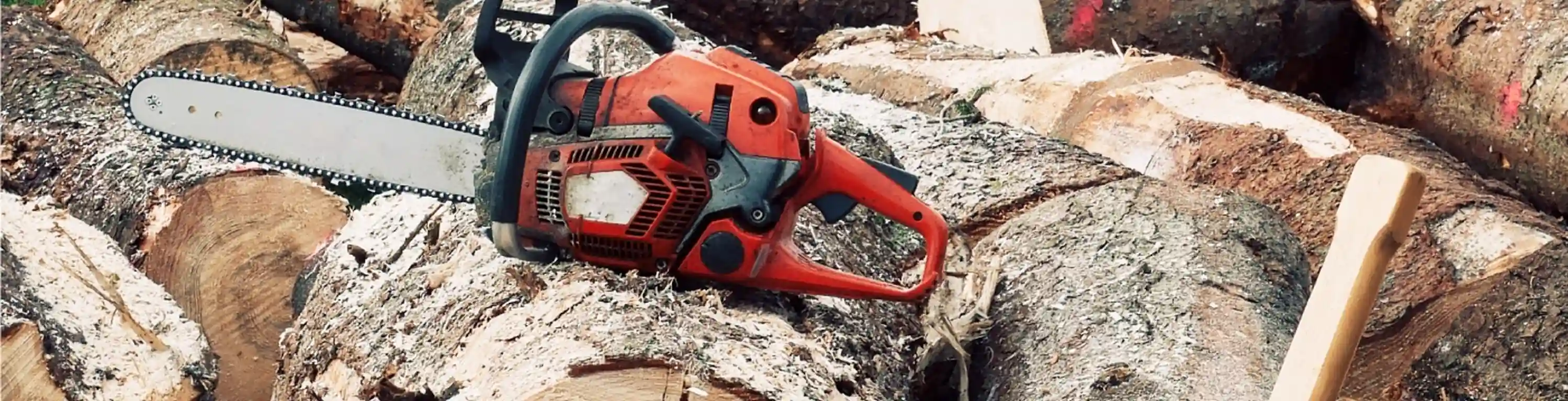 Chainsaw